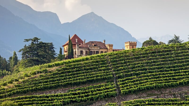 Prime Tours luxury travel destinations Nature Tours Northern Italy South Tyrol – Vineyards & Valleys Photo by senorcampesino on iStock