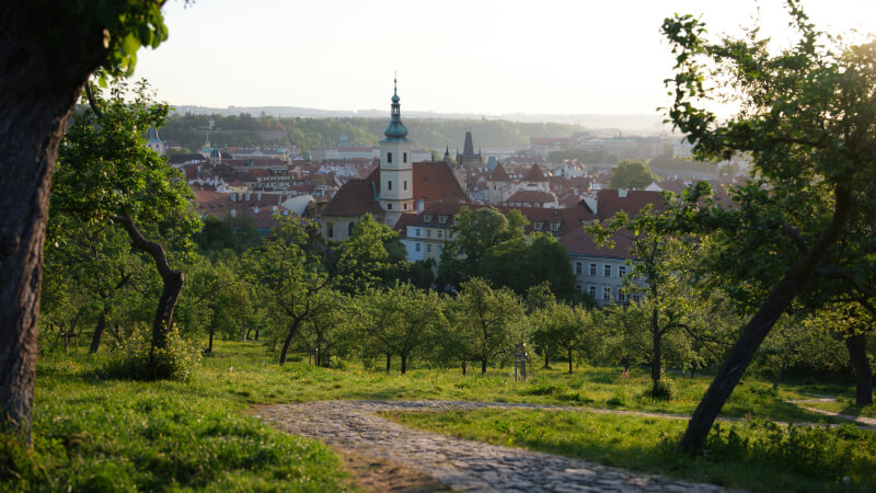 Prime Tours luxury travel destinations Traveling with Kids Czech Republic Prague Petrin Hill & Mirror Maze Photo by Joshua Kettle on Unsplash