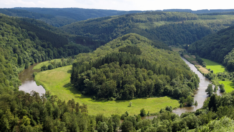 Prime Tours luxury travel Nature Benelux Belgium Ardennes Photo by alainolympus on iStock
