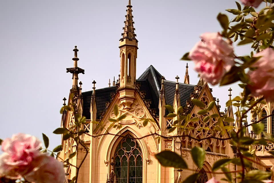 View over the Black Forest Germany